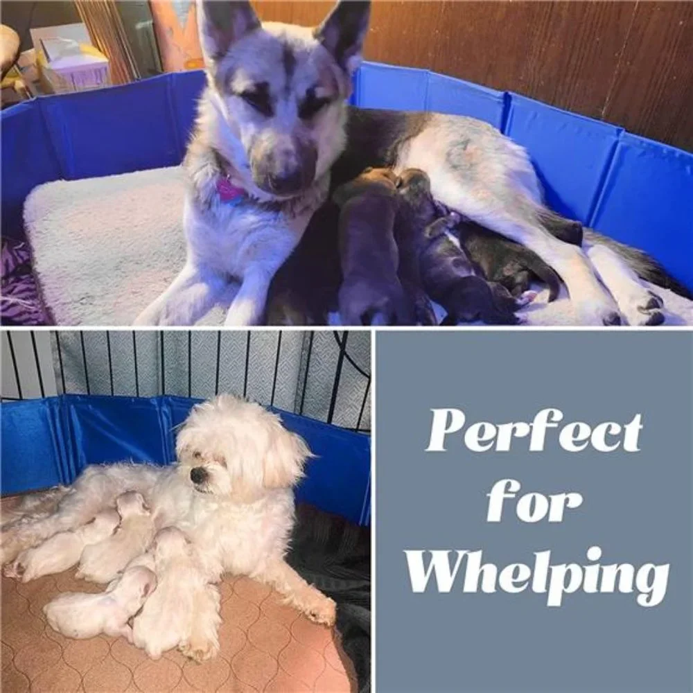 Whelping Pool Whelping Box Portable Foldable Leakproof Swimming Tub